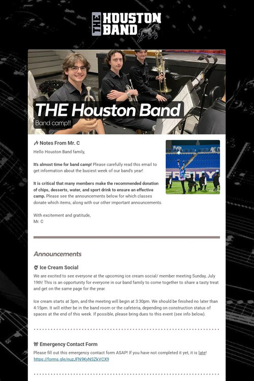 THE Houston Band