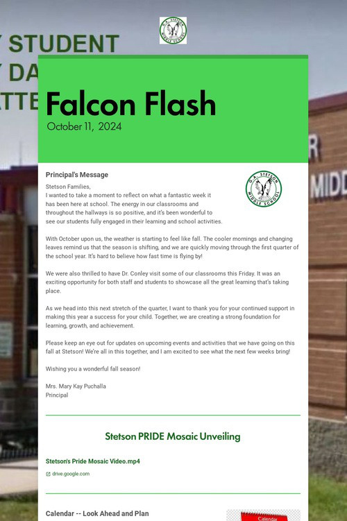 Falcon Flash