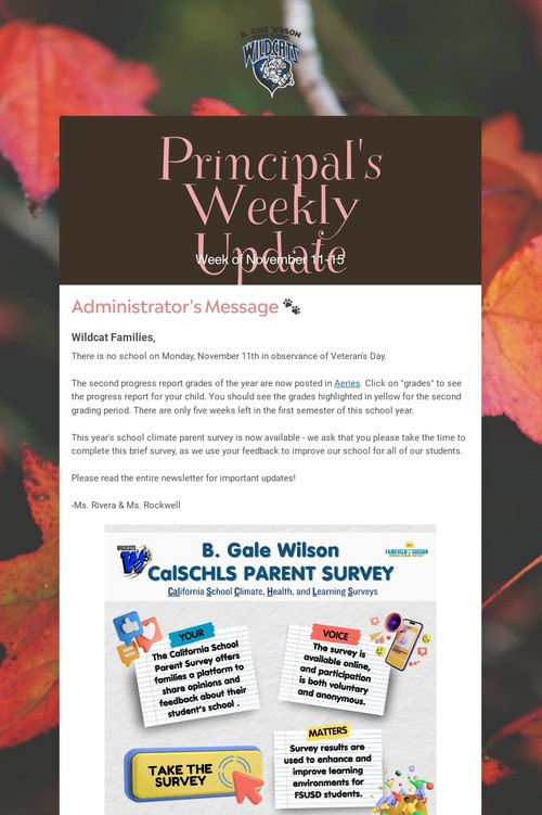 Principal's Weekly Update