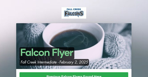 Falcon Flyer