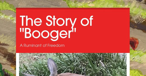 The Story of "Booger"