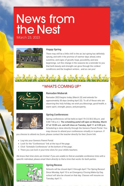 News from the Nest