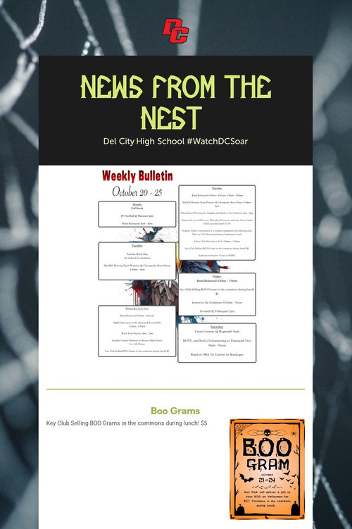 News from the Nest