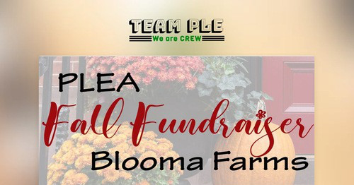 Fall Fundraiser