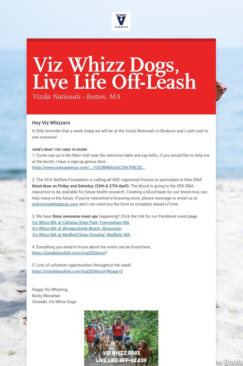 Viz Whizz Dogs, Live Life Off-Leash