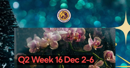 Q2 Week 16 Dec 2-6