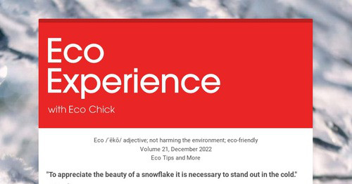 Eco Experience