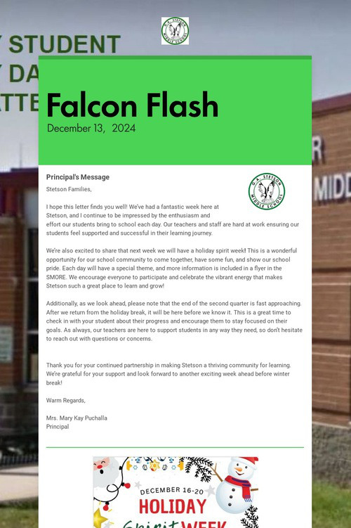 Falcon Flash