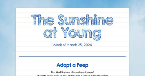 The Sunshine at Young