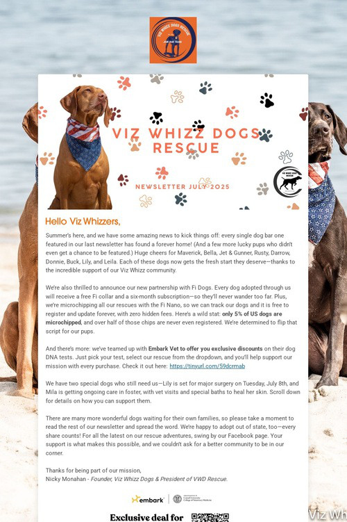 Live Life Off-Leash