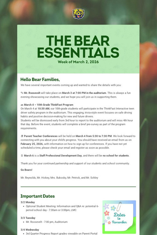 THE BEAR ESSENTIALS
