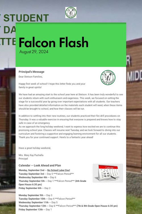Falcon Flash