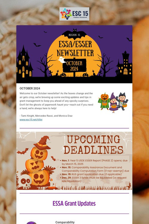 ESSA/ESSER Newsletter