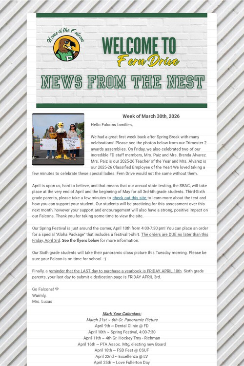 News From The Nest