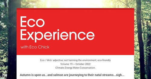 Eco Experience
