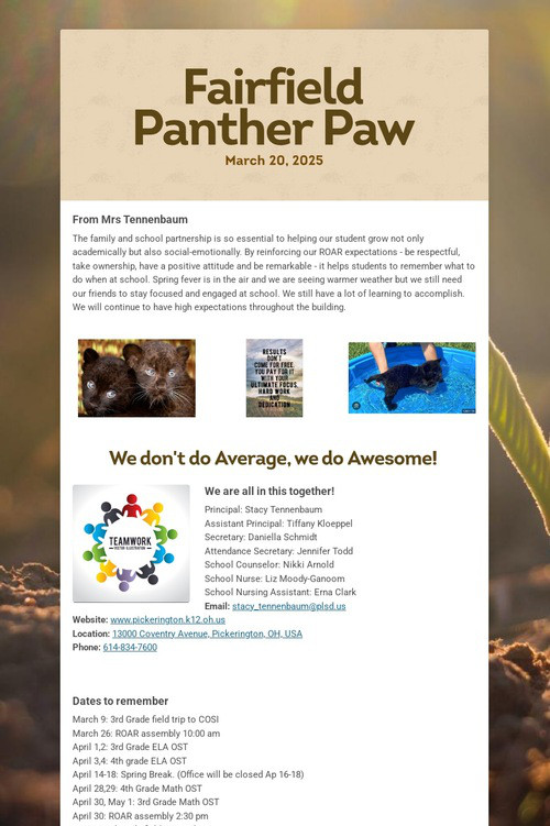 Fairfield Panther Paw