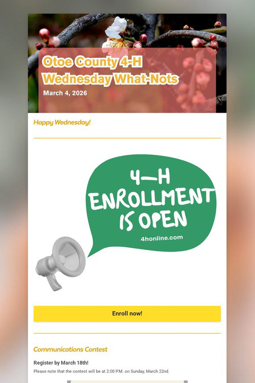 Wednesday What-Nots 3/4