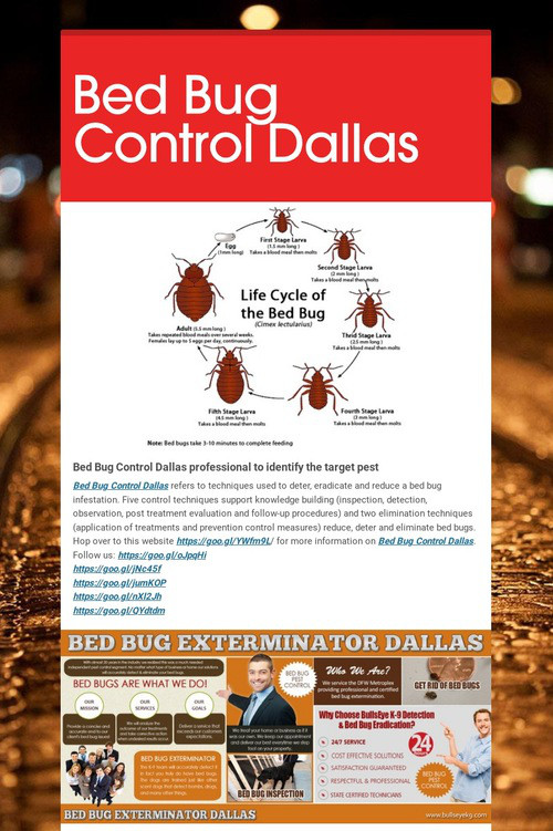 Bed Bug Control Dallas