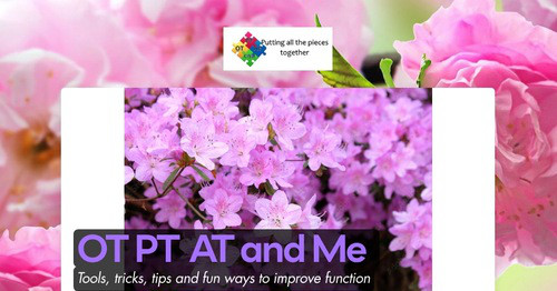 OT PT AT and Me