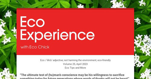 Eco Experience