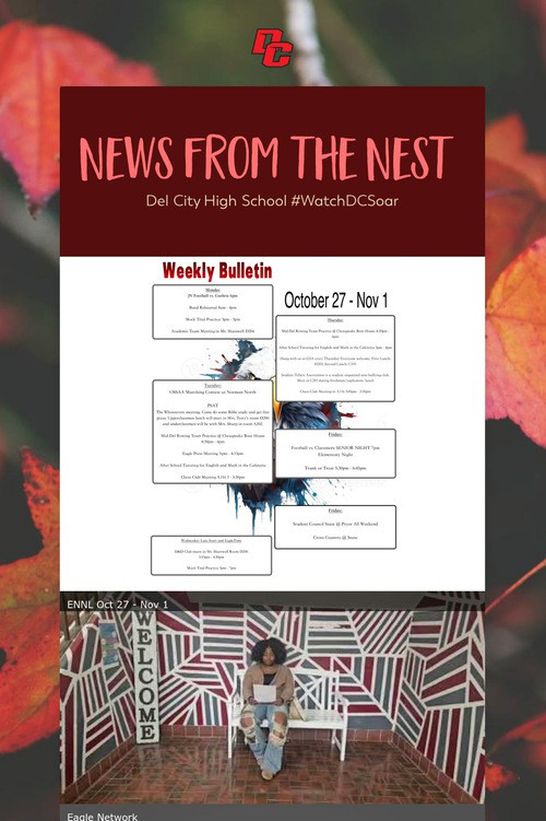 News from the Nest