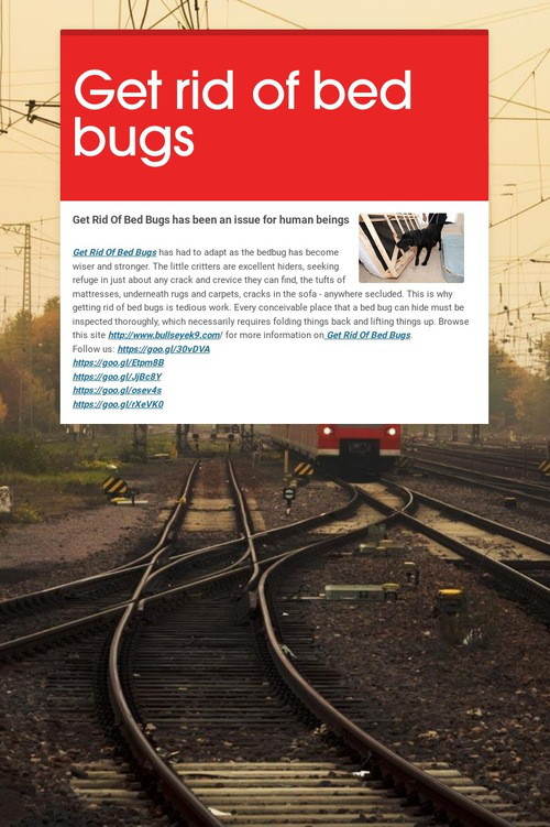 Get rid of bed bugs