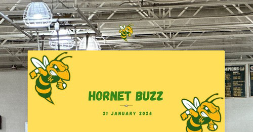 Hornet Buzz