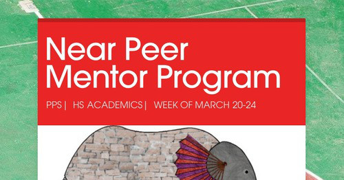 Near Peer Mentor Program