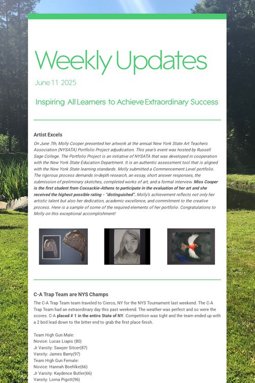Weekly Updates