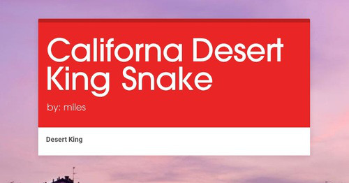 Design newsletters to spread the word online | Smore