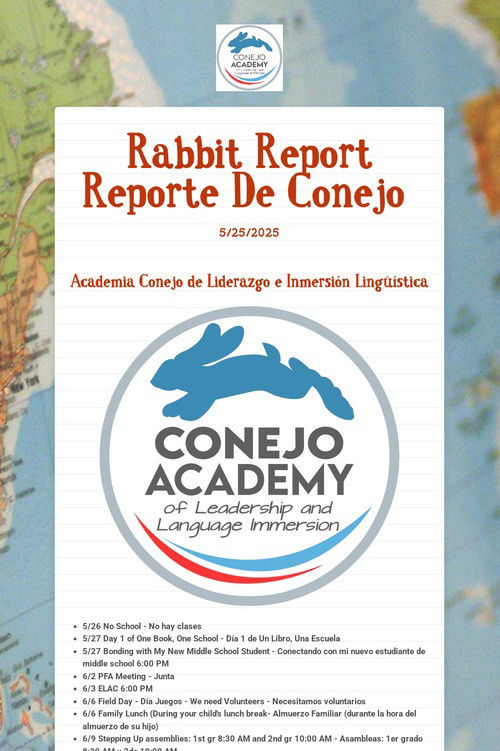 Rabbit Report  Reporte De Conejo