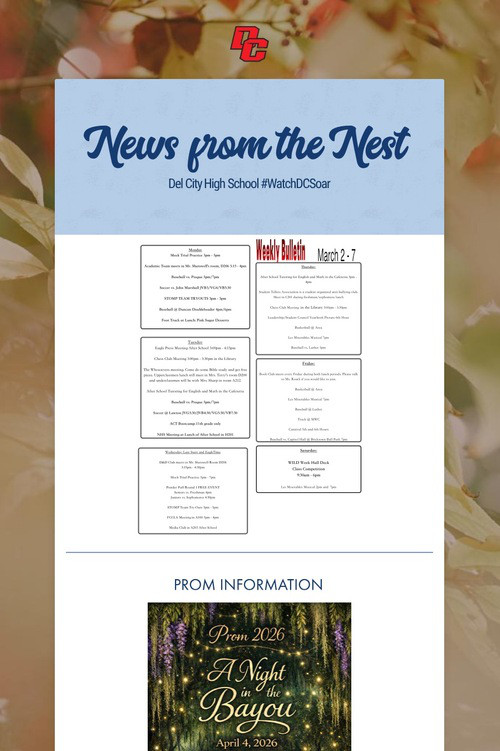 News from the Nest