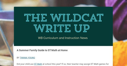 The Wildcat Write Up