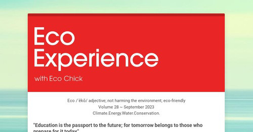 Eco Experience
