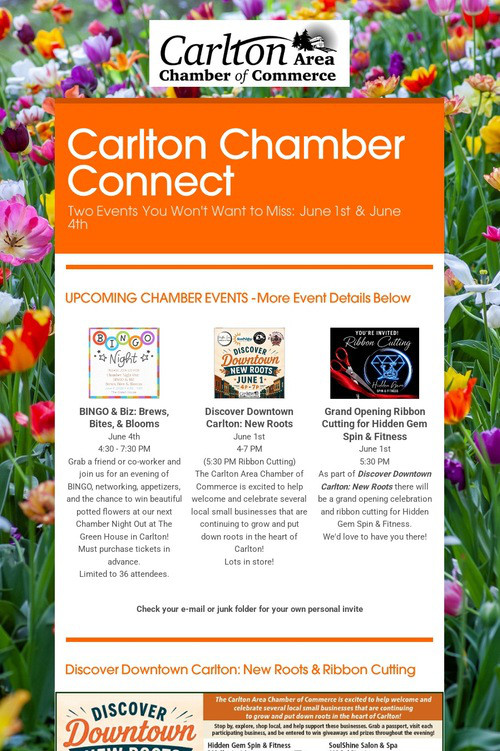 Carlton Chamber Connect