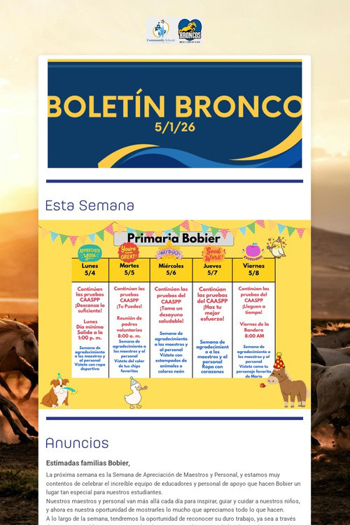 Bobier Bronco Blast