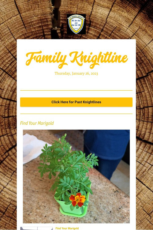 Family Knightline