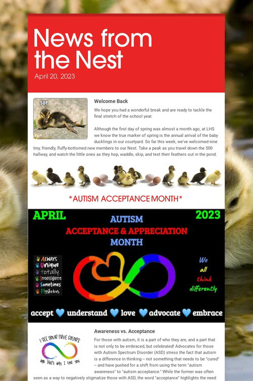 News from the Nest