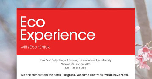 Eco Experience